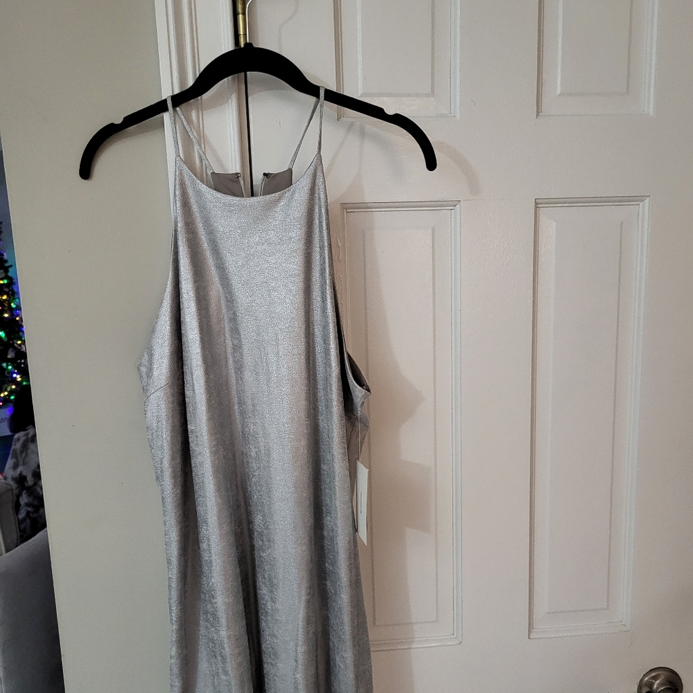 Halston Heritage Shimmering Silver Dress